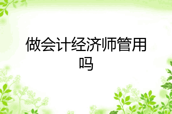 做会计经济师管用吗
