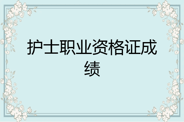 护士职业资格证成绩
