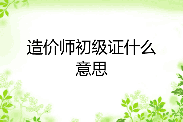 造价师初级证什么意思