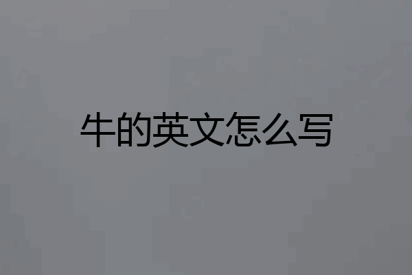 牛的英文怎么写