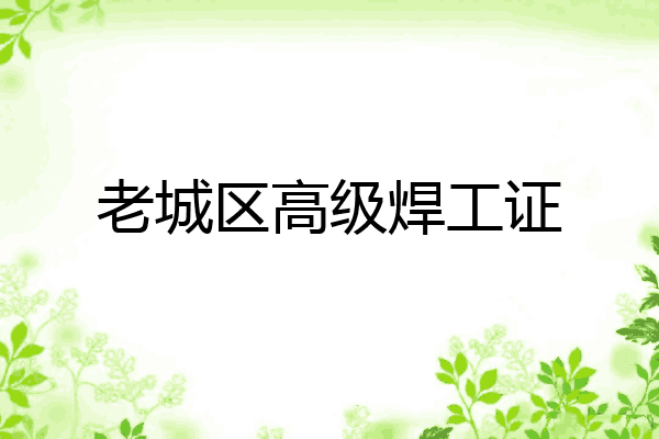 老城区高级焊工证