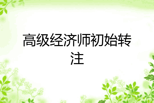高级经济师初始转注