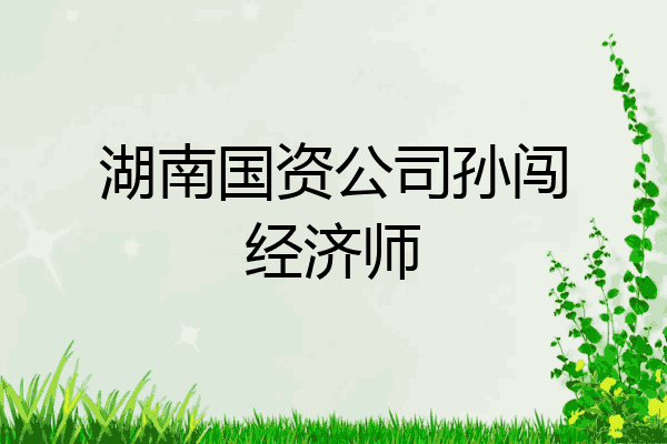 湖南国资公司孙闯经济师