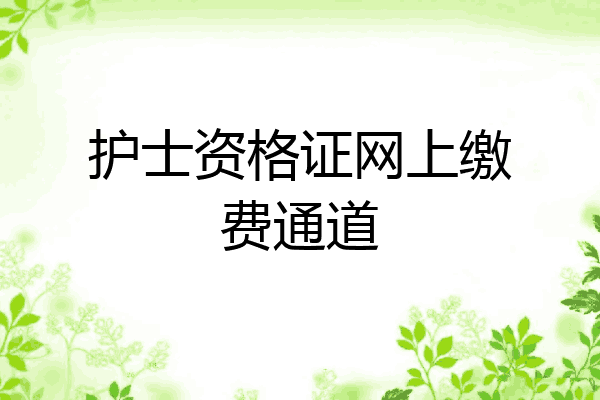 护士资格证网上缴费通道