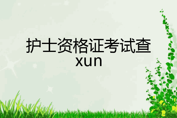 护士资格证考试查xun