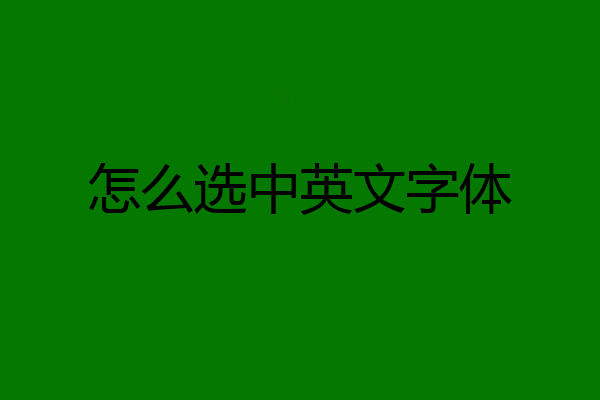 怎么选中英文字体
