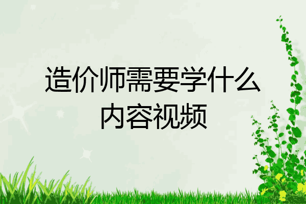造价师需要学什么内容视频