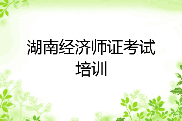 湖南经济师证考试培训