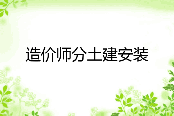 造价师分土建安装