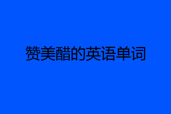 赞美醋的英语单词