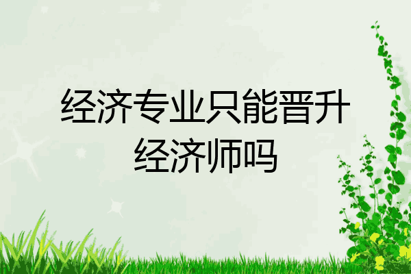 经济专业只能晋升经济师吗