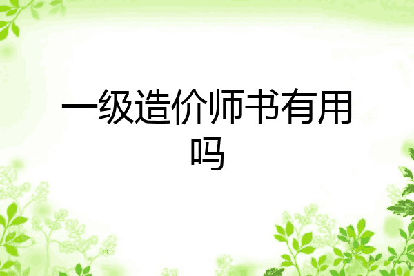 一级造价师书有用吗