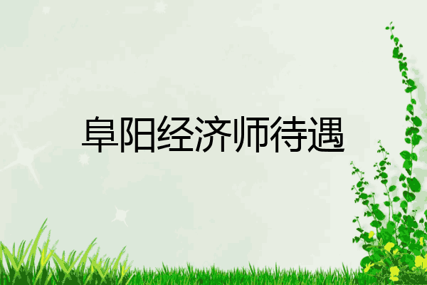 阜阳经济师待遇