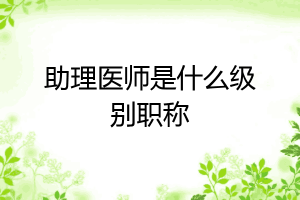 助理医师是什么级别职称