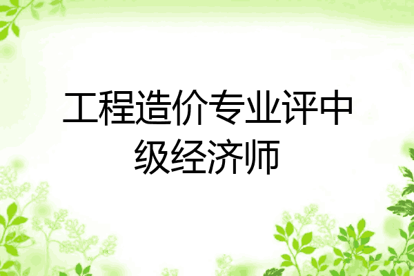 工程造价专业评中级经济师