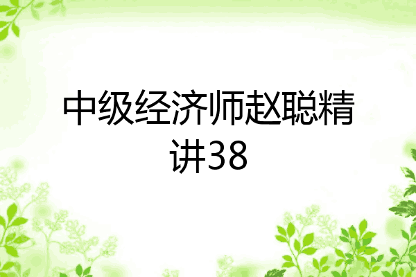 中级经济师赵聪精讲38