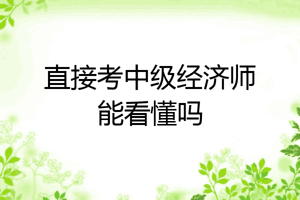 直接考中级经济师能看懂吗