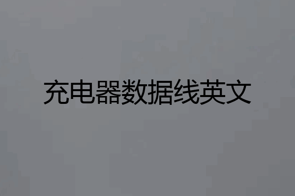 充电器数据线英文