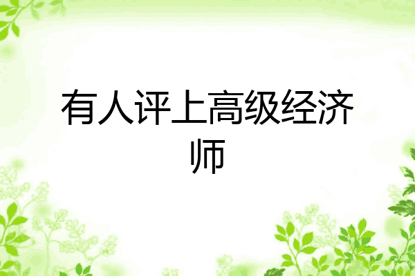 有人评上高级经济师