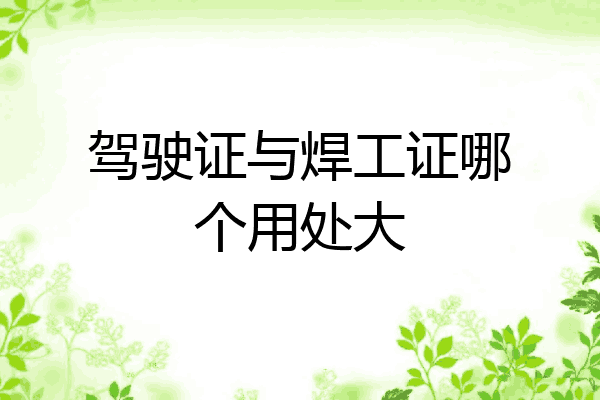 驾驶证与焊工证哪个用处大