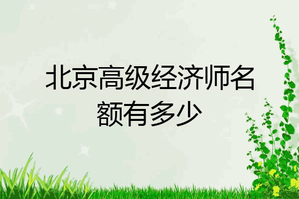 北京高级经济师名额有多少