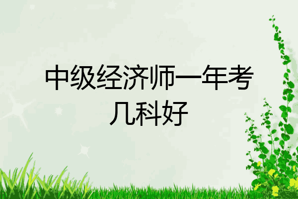 中级经济师一年考几科好