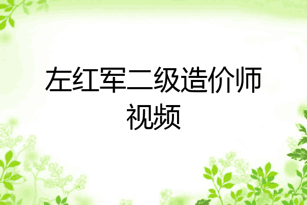 左红军二级造价师视频