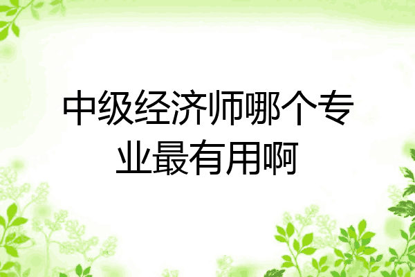 中级经济师哪个专业最有用啊