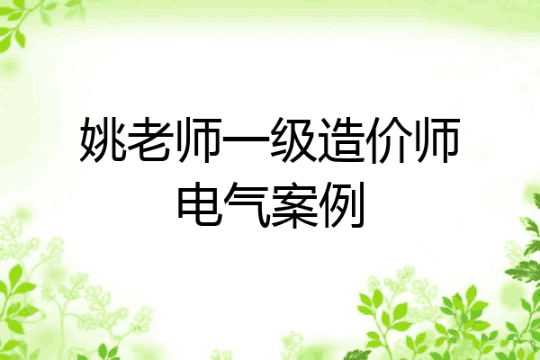姚老师一级造价师电气案例
