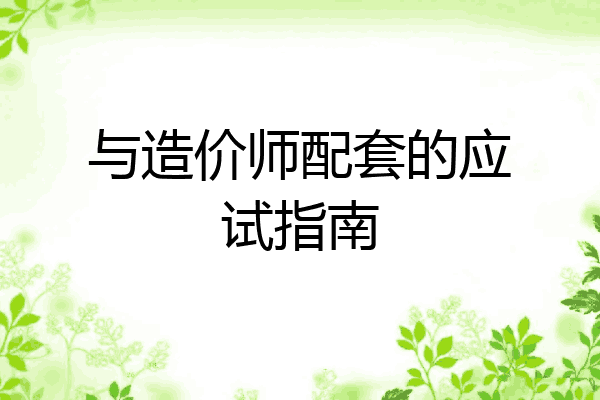 与造价师配套的应试指南