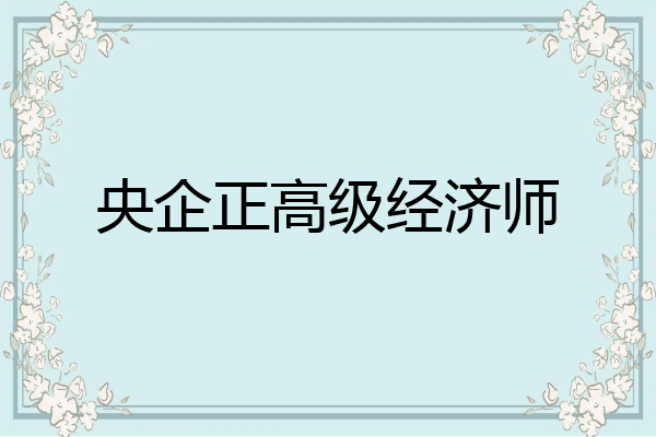 央企正高级经济师