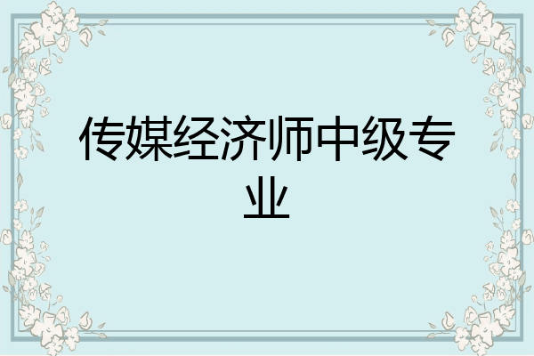 传媒经济师中级专业