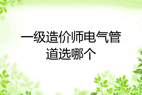一级造价师电气管道选哪个