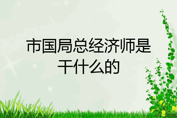 市国局总经济师是干什么的