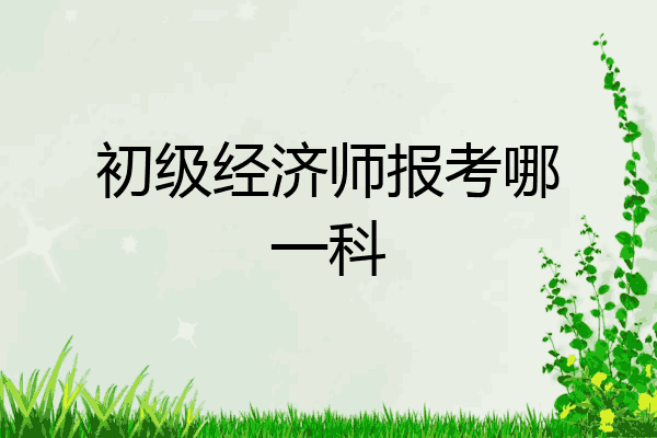 初级经济师报考哪一科