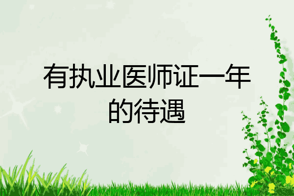 有执业医师证一年的待遇