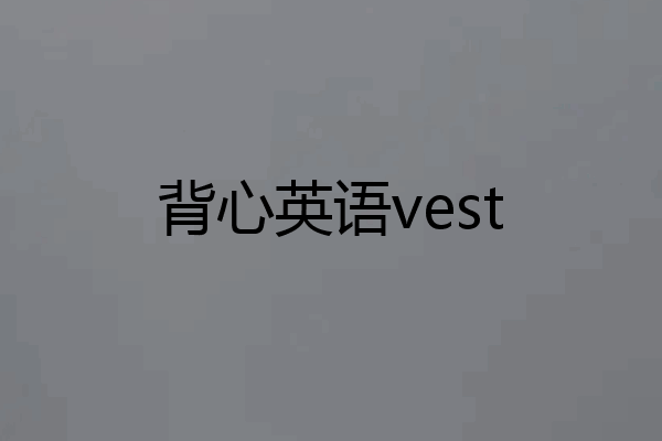 背心英语vest