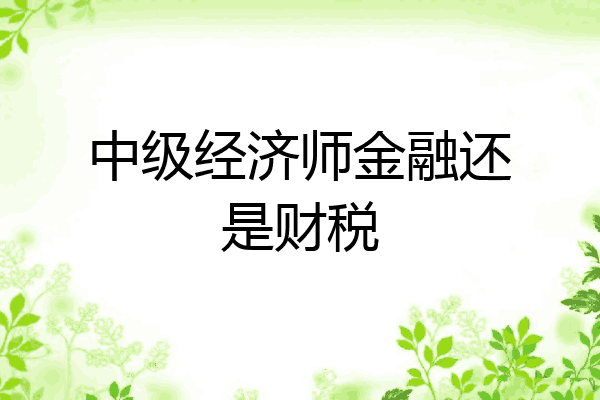 中级经济师金融还是财税