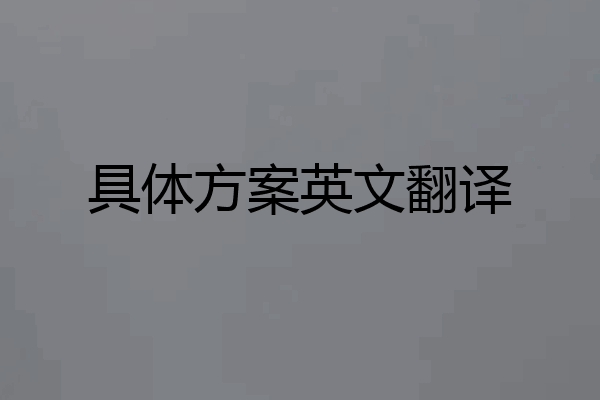 具体方案英文翻译
