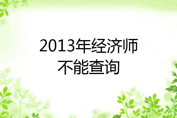 2013年经济师不能查询
