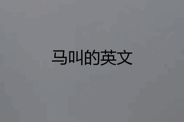 马叫的英文
