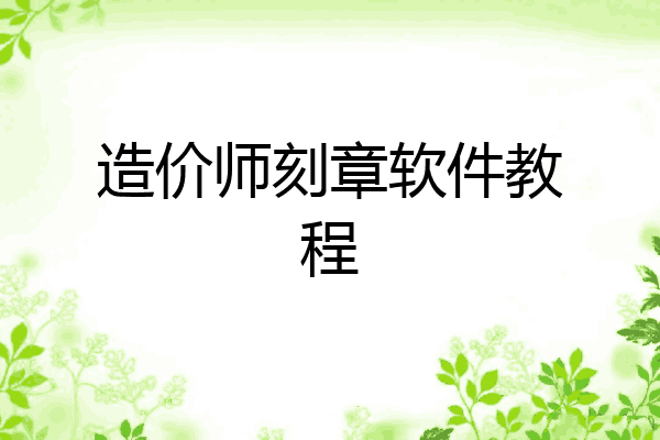 造价师刻章软件教程
