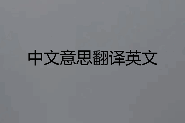 中文意思翻译英文
