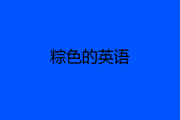 粽色的英语