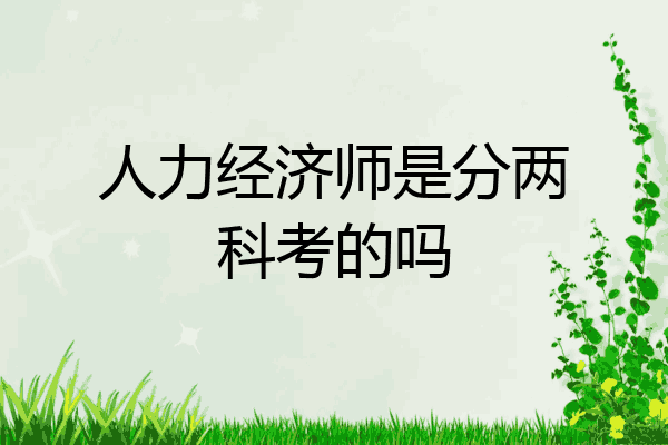 人力经济师是分两科考的吗