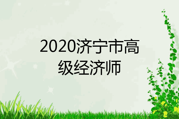 2020济宁市高级经济师