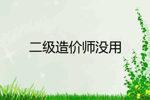 二级造价师没用