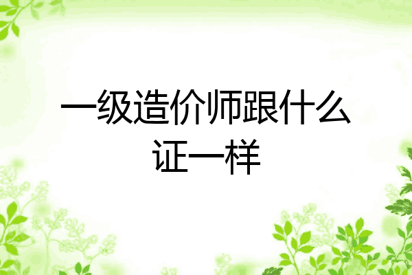 一级造价师跟什么证一样