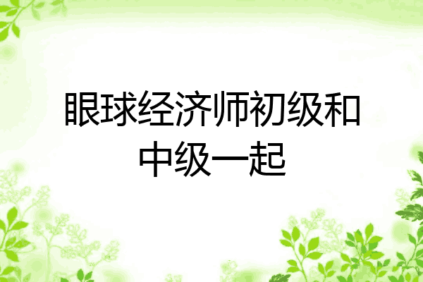眼球经济师初级和中级一起