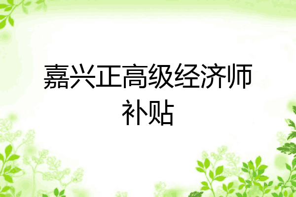 嘉兴正高级经济师补贴